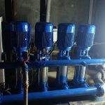 WhatsApp Image 2025 12 25 at 18.12.10